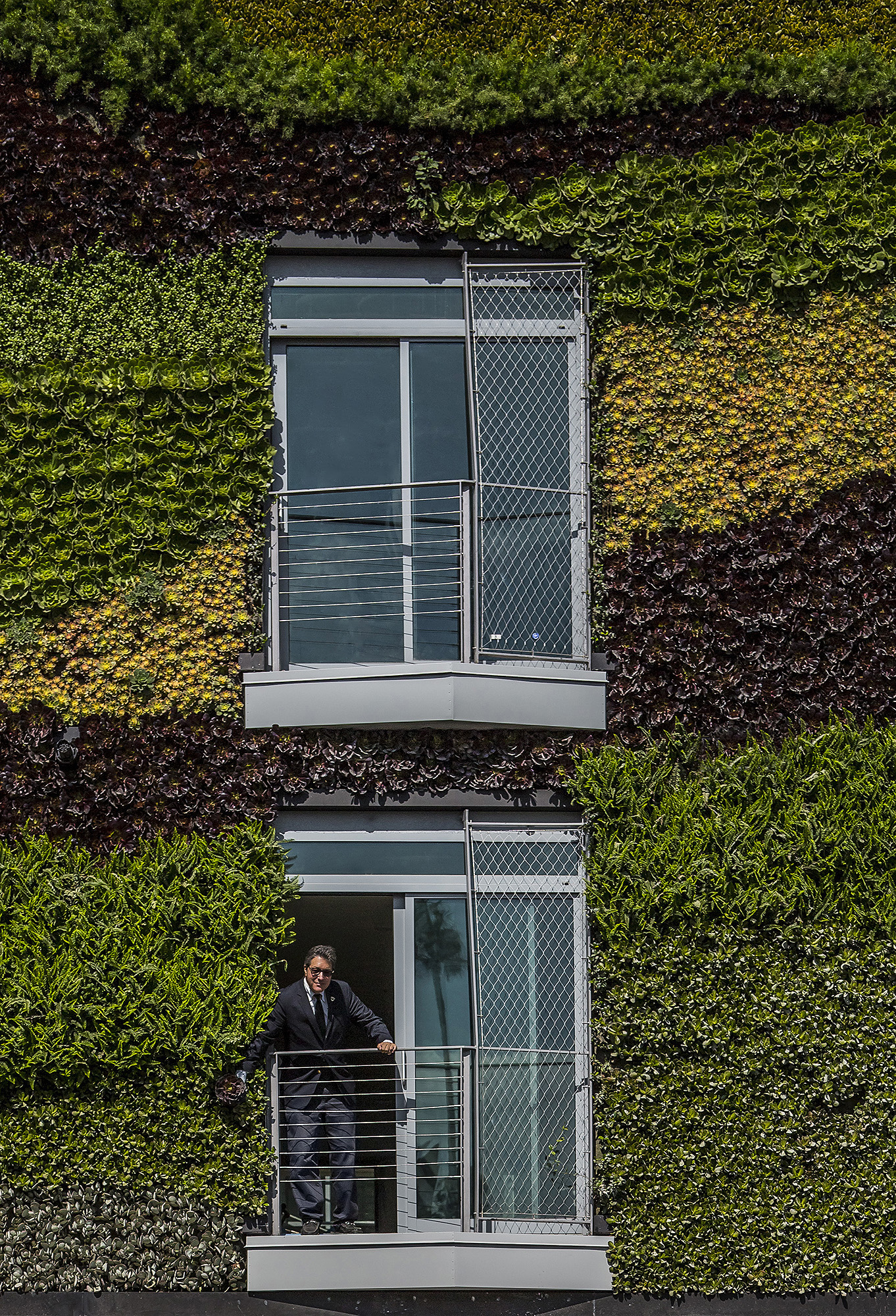 12_MAD_Gardenhouse_Green Wall_photo by Manolo Langis